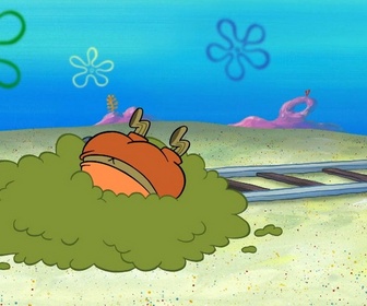 Bob l'éponge - Boule de Carlo