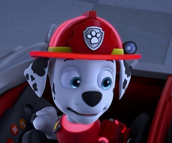 Paw Patrol, la Pat'Patrouille - Les bulles extraterrestres