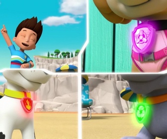 Paw Patrol, la Pat'Patrouille - La Pat'Patrouille des Mers sauve un narval