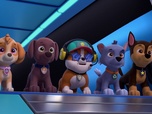 Paw Patrol, la Pat'Patrouille Paw Patrol, la Pat'Patrouille