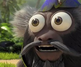 Les as de la jungle à la rescousse - 05/02/2025