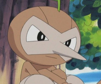 Pokémon - Une nouvelle expérience