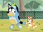 Bluey