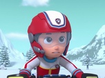 Paw Patrol, la Pat'Patrouille
