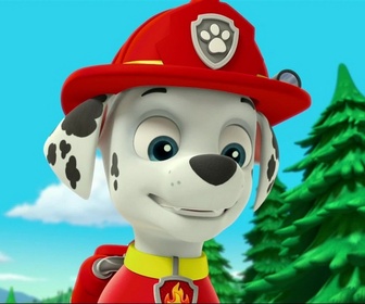 Paw Patrol, la Pat'Patrouille - Alex le louveteau