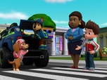 Paw Patrol, la Pat'Patrouille