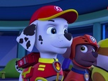 Paw Patrol, la Pat'Patrouille