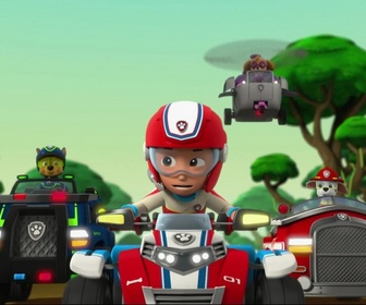 Paw Patrol, la Pat'Patrouille - Le perroquet en danger