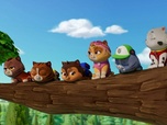 Paw Patrol, la Pat'Patrouille