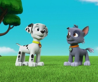 Paw Patrol, la Pat'Patrouille - Sauvetage extrême : L'atterrissage du Capitaine Gordy