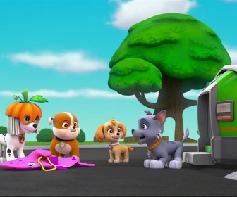 Paw Patrol, la Pat'Patrouille - Le bébé dauphin