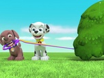 Paw Patrol, la Pat'Patrouille