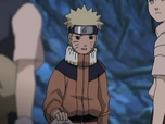 Naruto Naruto