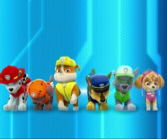 Paw Patrol, la Pat'Patrouille - La nappe d'huile