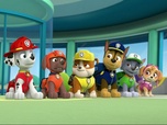 Paw Patrol, la Pat'Patrouille Paw Patrol, la Pat'Patrouille