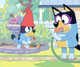 Bluey - 20/06/2026