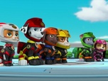 Paw Patrol, la Pat'Patrouille Paw Patrol, la Pat'Patrouille