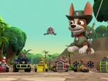 Paw Patrol, la Pat'Patrouille Paw Patrol, la Pat'Patrouille