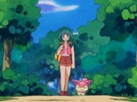 Pokémon Pokémon