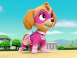 Paw Patrol, la Pat'Patrouille