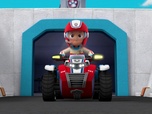 Paw Patrol, la Pat'Patrouille