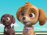 Paw Patrol, la Pat'Patrouille