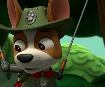 Paw Patrol, la Pat'Patrouille - Des pingouins dans la jungle