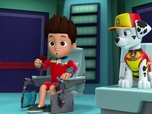 Paw Patrol, la Pat'Patrouille