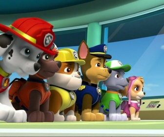 Paw Patrol, la Pat'Patrouille - Un sacré charivari