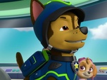 Paw Patrol, la Pat'Patrouille