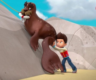 Paw Patrol, la Pat'Patrouille - Surprise