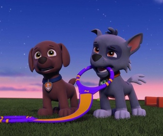 Paw Patrol, la Pat'Patrouille - La famille chauves-souris