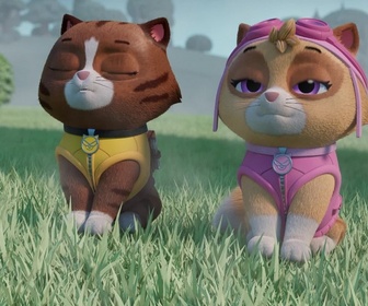 Paw Patrol, la Pat'Patrouille - Mr Hellinger et l'oison