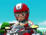 Paw Patrol, la Pat'Patrouille
