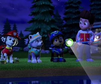 Paw Patrol, la Pat'Patrouille - Le fantôme de la mare aux grenouilles