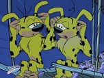 Le Marsupilami
