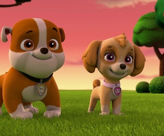 Paw Patrol, la Pat'Patrouille - Sauvetage extrême : Mystérieuses disparitions