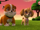 Paw Patrol, la Pat'Patrouille