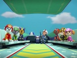 Paw Patrol, la Pat'Patrouille