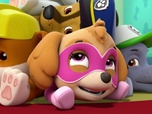 Paw Patrol, la Pat'Patrouille
