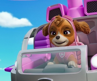 Paw Patrol, la Pat'Patrouille - Le robot-canard géant