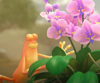 Les as de la jungle à la rescousse - 26/04/2026