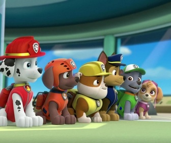 Paw Patrol, la Pat'Patrouille - Un singe en liberté