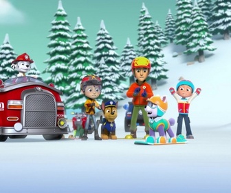 Paw Patrol, la Pat'Patrouille - Danny et l'ours