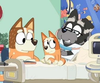 Bluey - 08/03/2026