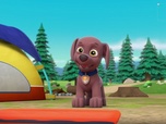 Paw Patrol, la Pat'Patrouille