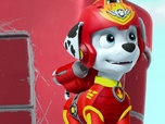 Paw Patrol, la Pat'Patrouille Paw Patrol, la Pat'Patrouille