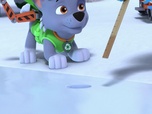 Paw Patrol, la Pat'Patrouille