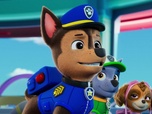 Paw Patrol, la Pat'Patrouille