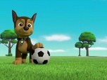 Paw Patrol, la Pat'Patrouille